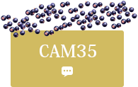 CAM35